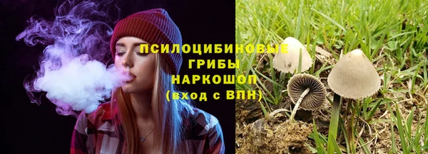 круглые Вяземский