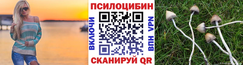 что такое наркотик  KRAKEN ссылки  Псилоцибиновые грибы мицелий  Заозёрск 
